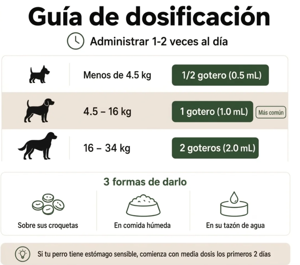 Fórmula Veterinaria Natural para Eliminar Hongos en Perros