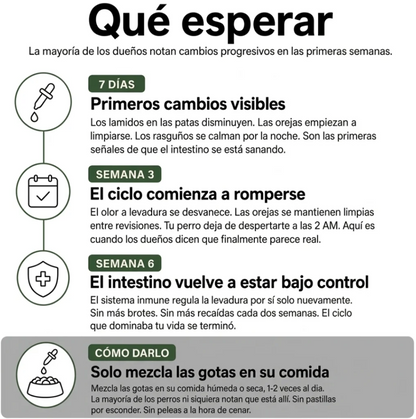 Fórmula Veterinaria Natural para Eliminar Hongos en Perros