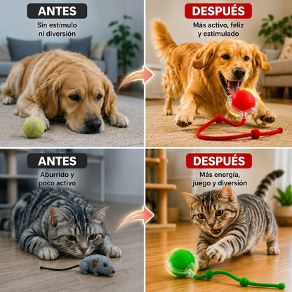 Pelota Interactiva Led Para Mascotas