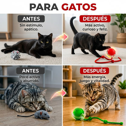 Pelota Interactiva Led Para GATOS