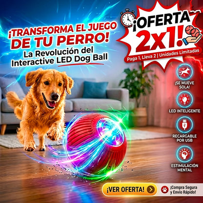 Pelota Interactiva Led Para PERROS