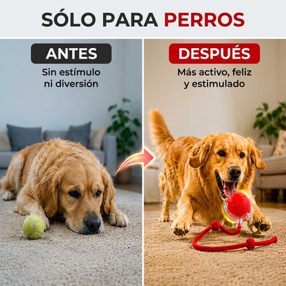 Pelota Interactiva Led Para PERROS