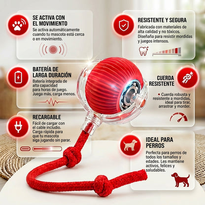 Pelota Interactiva Led Para PERROS