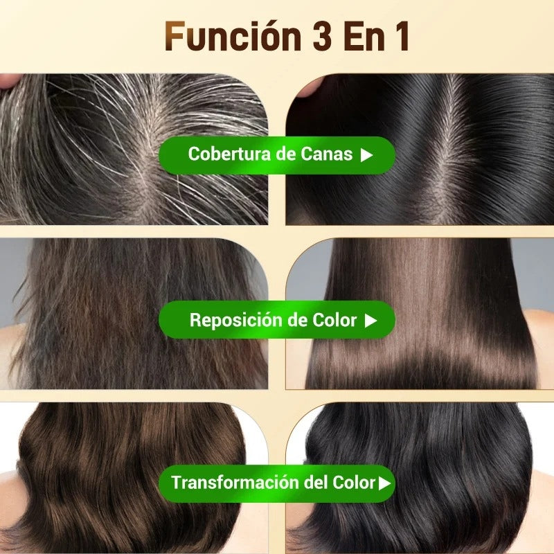 Shampoo Tinte Anti Canas 500ml